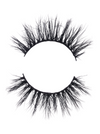 Ashley Lashes
