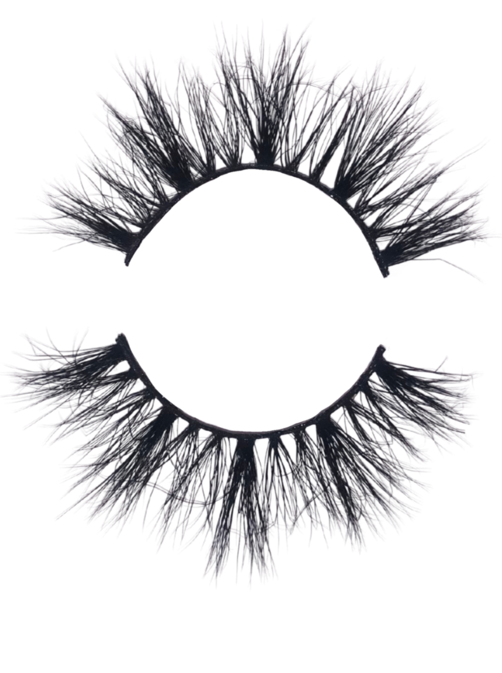 False eyelash with long wispy black lashes on a curved band